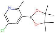 2-Methyl-5-chloropyridine-3-boronic acid pinacol ester