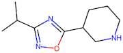 3-(3-Isopropyl-1,2,4-oxadiazol-5-yl)piperidine