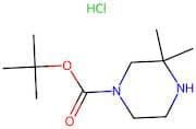 tert-Butyl 3,3-dimethylpiperazine-1-carboxylate hydrochloride
