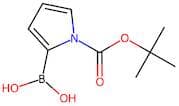1H-Pyrrole-2-boronic acid, N-BOC protected