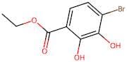 Ethyl 4-bromo-2,3-dihydroxybenzoate