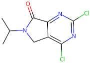 2,4-Dichloro-6-propan-2-yl-5H-pyrrolo[3,4-d]pyrimidin-7-one