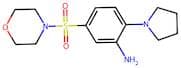 5-(Morpholinosulfonyl)-2-(pyrrolidin-1-yl)aniline