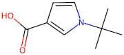 1-Tert-butyl-1h-pyrrole-3-carboxylic acid