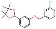 2-(3-((3-Chlorobenzyl)oxy)phenyl)-4,4,5,5-tetramethyl-1,3,2-dioxaborolane