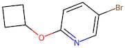 5-Bromo-2-cyclobutoxypyridine