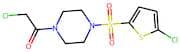 2-Chloro-1-{4-[(5-chlorothiophen-2-yl)sulfonyl]piperazin-1-yl}ethan-1-one