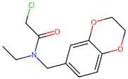 2-Chloro-n-(2,3-dihydro-1,4-benzodioxin-6-ylmethyl)-n-ethylacetamide