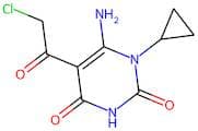 6-Amino-5-(2-chloroacetyl)-1-cyclopropyl-1,2,3,4-tetrahydropyrimidine-2,4-dione