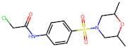2-Chloro-n-{4-[(2,6-dimethylmorpholin-4-yl)sulfonyl]phenyl}acetamide