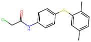 2-Chloro-n-{4-[(2,5-dimethylphenyl)sulfanyl]phenyl}acetamide