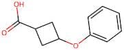 3-Phenoxycyclobutanecarboxylic acid