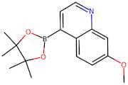 7-Methoxy-4-(4,4,5,5-tetramethyl-1,3,2-dioxaborolan-2-yl)quinoline