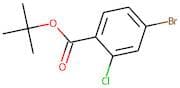tert-Butyl 4-bromo-2-chlorobenzoate