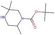 tert-Butyl 2,5,5-trimethylpiperazine-1-carboxylate