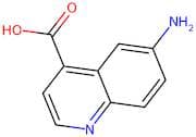 6-Aminoquinoline-4-carboxylic acid
