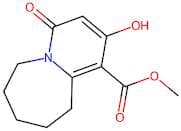 Methyl 4,6,7,8,9,10-hexahydro-2-hydroxy-4-oxopyrido[1,2-a]azepine-1-carboxylate