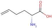 (R)-2-Aminohex-5-enoic acid
