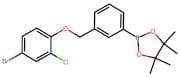 2-(3-((4-Bromo-2-chlorophenoxy)methyl)phenyl)-4,4,5,5-tetramethyl-1,3,2-dioxaborolane