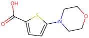 5-(Morpholin-4-yl)thiophene-2-carboxylic acid