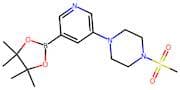 1-(Methylsulfonyl)-4-(5-(4,4,5,5-tetramethyl-1,3,2-dioxaborolan-2-yl)pyridin-3-yl)piperazine