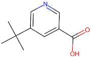 5-(tert-Butyl)nicotinic acid