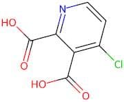 4-Chloropyridine-2,3-dicarboxylic acid