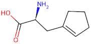 (S)-2-Amino-3-(cyclopent-1-en-1-yl)propanoic acid