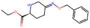 (S,E)-ethyl 5-((benzyloxy)imino)piperidine-2-carboxylate