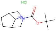 8-Amino-3-aza-bicyclo[3.2.1]octane-3-carboxylic acid tert-butyl ester hydrochloride