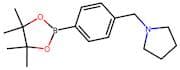 4-[(Pyrrolidin-1-yl)methyl]benzeneboronic acid, pinacol ester