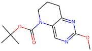 tert-Butyl 2-methoxy-7,8-dihydropyrido[3,2-d]pyrimidine-5(6H)-carboxylate