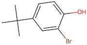 2-Bromo-4-(tert-butyl)phenol