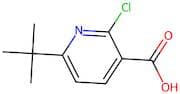 6-(tert-Butyl)-2-chloronicotinic acid