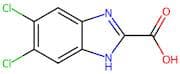 5,6-Dichloro-1H-benzimidazole-2-carboxylic acid