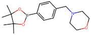 4-[(Morpholin-4-yl)methyl]benzeneboronic acid, pinacol ester