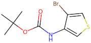 tert-Butyl (4-bromothiophen-3-yl)carbamate