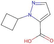 1-Cyclobutyl-1H-pyrazole-5-carboxylic acid