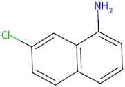 7-Chloronaphthalen-1-amine