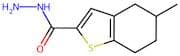 5-Methyl-4,5,6,7-tetrahydro-1-benzothiophene-2-carbohydrazide
