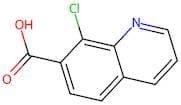 8-Chloroquinoline-7-carboxylic acid