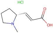 (R,E)-3-(1-Methylpyrrolidin-2-yl)acrylic acid hydrochloride