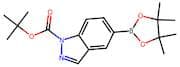 1H-Indazole-5-boronic acid, pinacol ester, N1-BOC protected