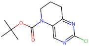 tert-Butyl 2-chloro-7,8-dihydropyrido[3,2-d]pyrimidine-5(6H)-carboxylate