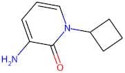 3-Amino-1-cyclobutylpyridin-2(1H)-one