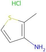 2-Methylthiophen-3-amine hydrochloride