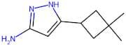 5-(3,3-Dimethylcyclobutyl)-1H-pyrazol-3-amine