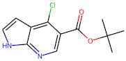 tert-butyl 4-chloro-1H-pyrrolo[2,3-b]pyridine-5-carboxylate