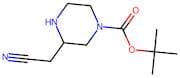 tert-Butyl 3-(cyanomethyl)piperazine-1-carboxylate