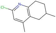 2-Chloro-5,6,7,8-tetrahydro-4,6-dimethylquinoline